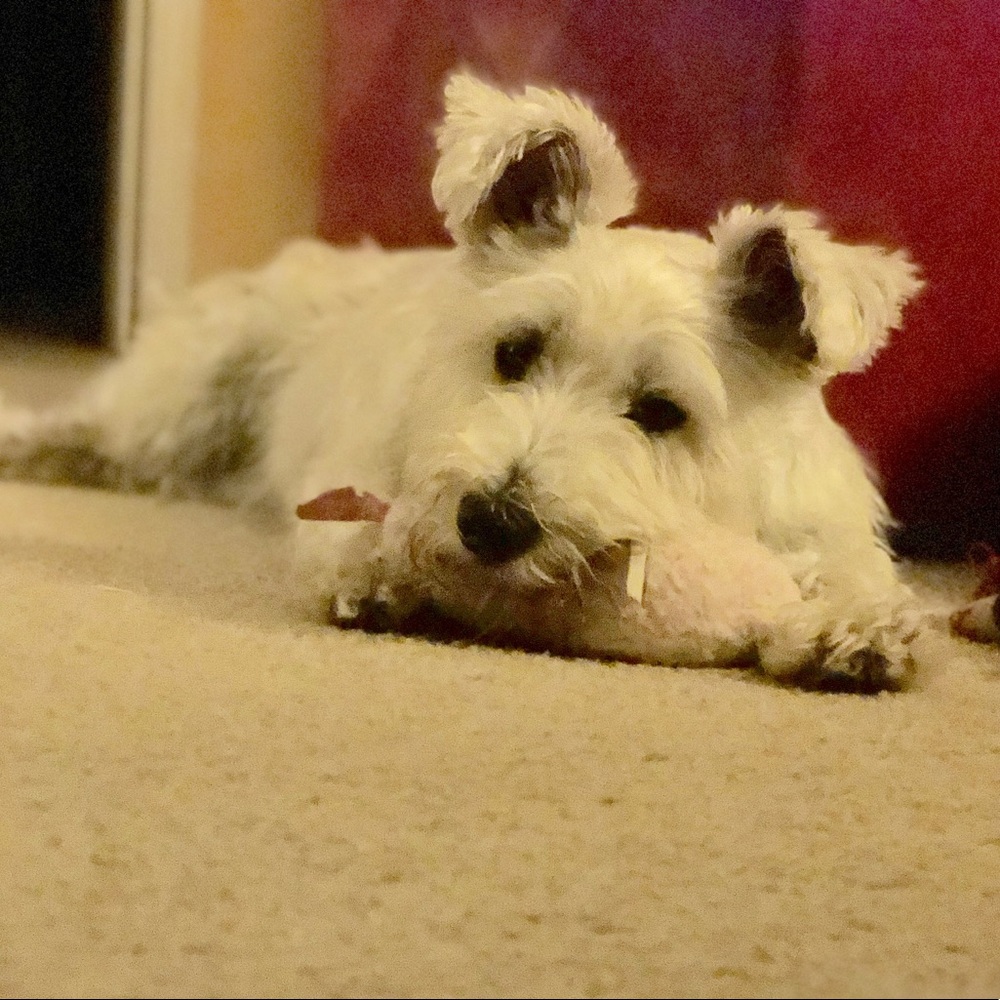 Meet your Posher, Helen